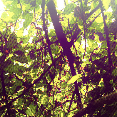 Mulberry Shrine Youtube SoundCloud Newgrounds